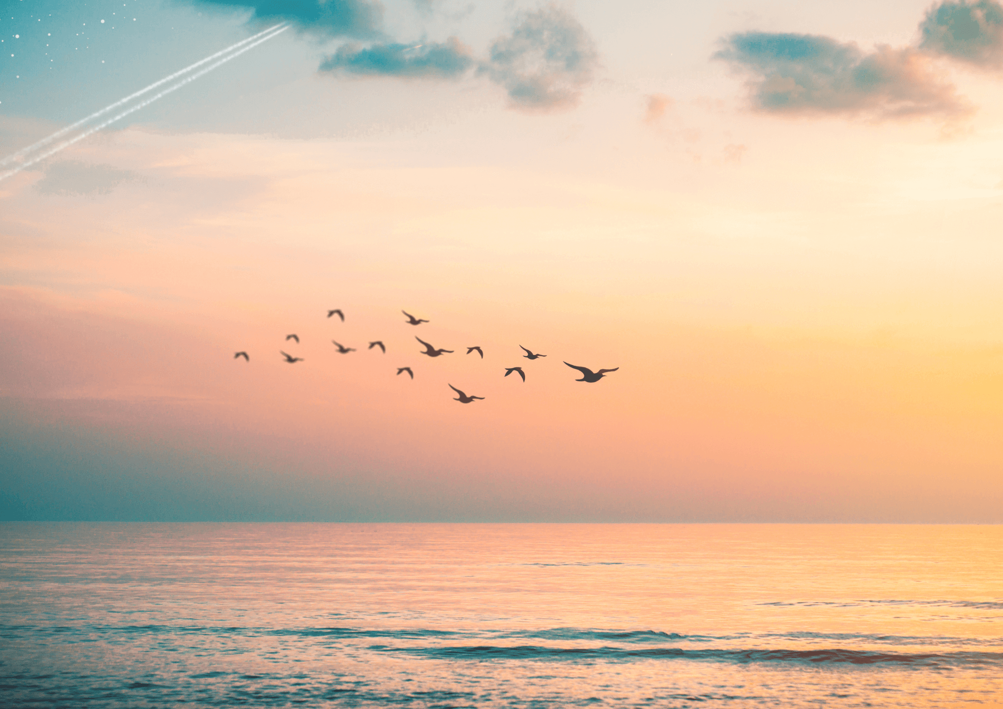 De magie van teams in flow